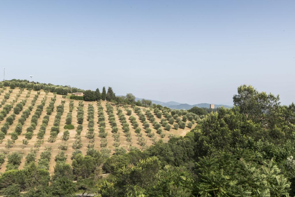 Agriturismo Borgo Spagnoli Magione Extérieur photo